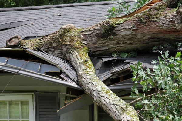 Cost of Storm Remediation in Menomonee Falls