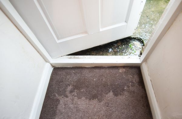 Wet Carpet Restoration in Menomonee Falls
