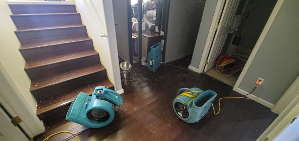 Cost of Water Damage Remediation in Menomonee Falls