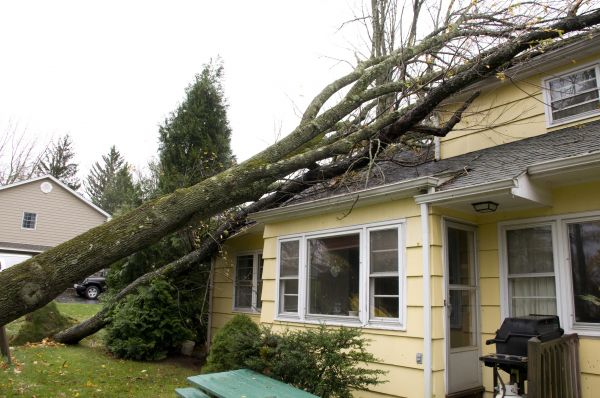 Hurricane Damage Repair in Menomonee Falls